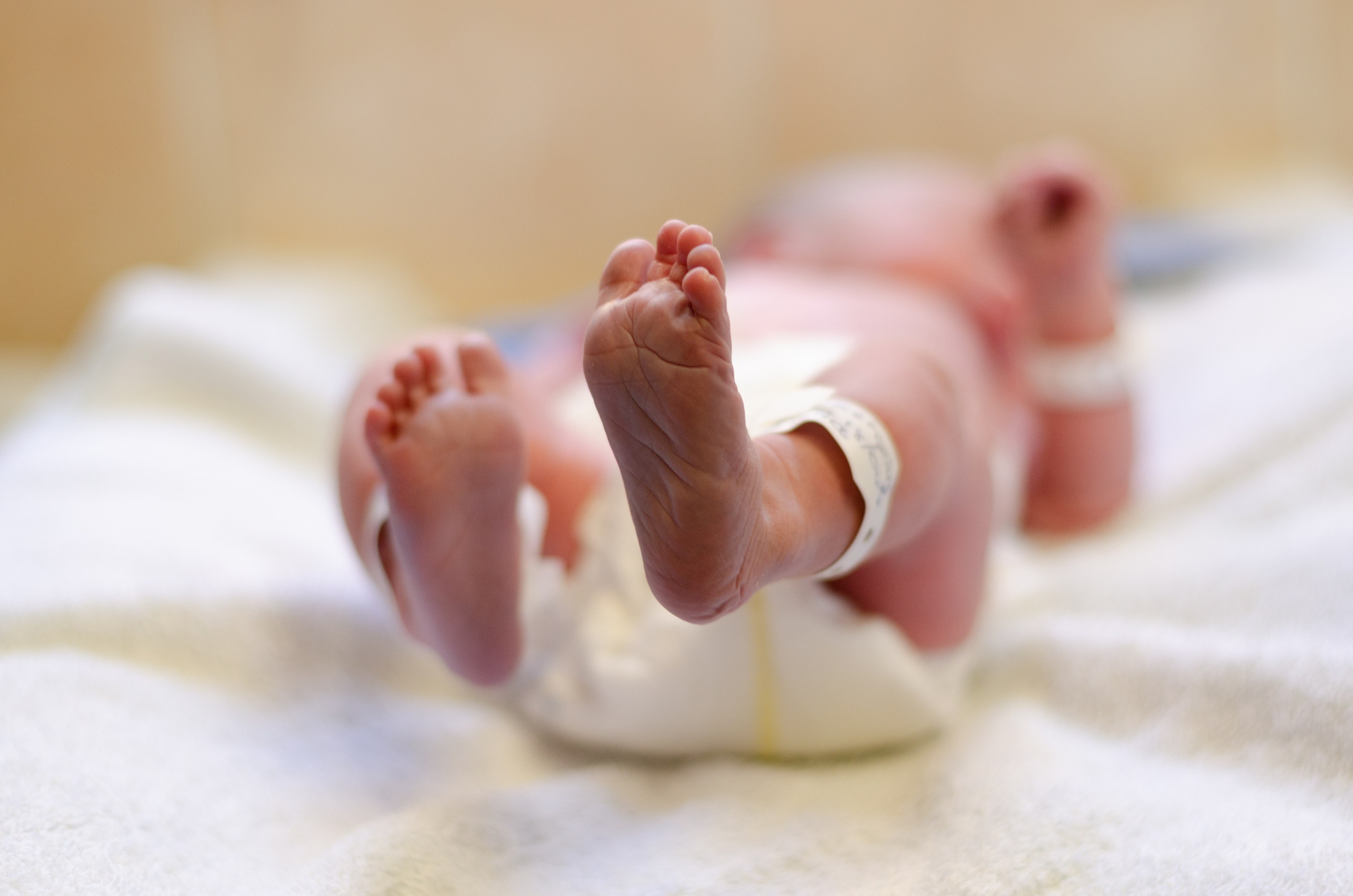 El Virus Respiratorio Sincitial (VRS)