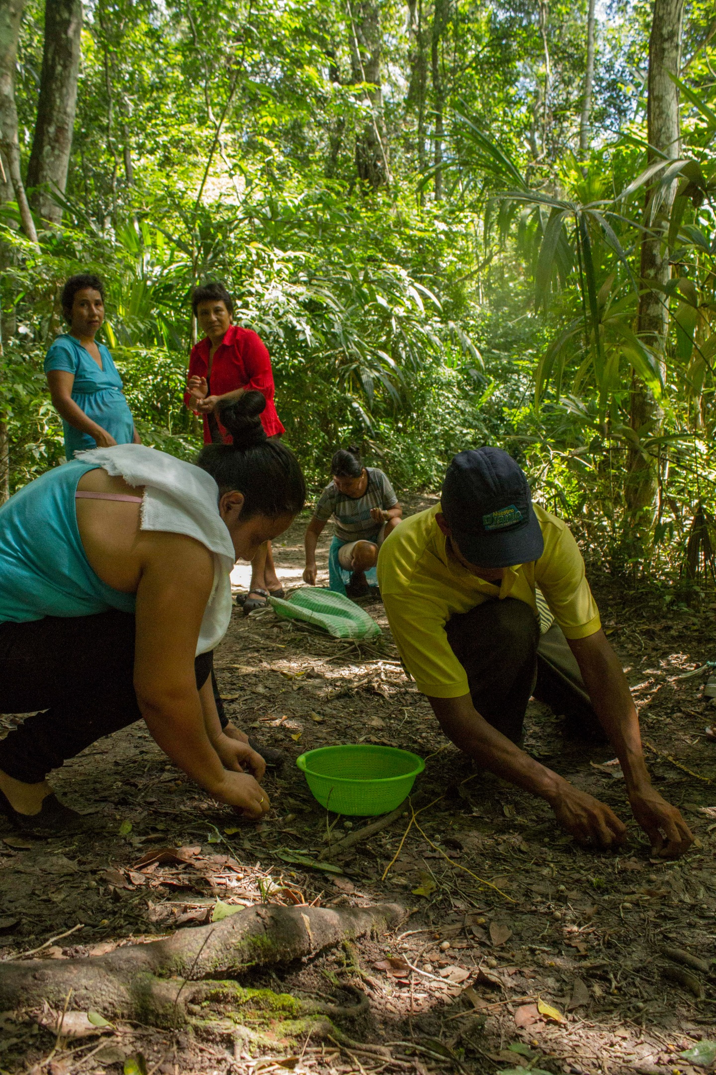 Logros y retos de las concesiones forestales de Peten 