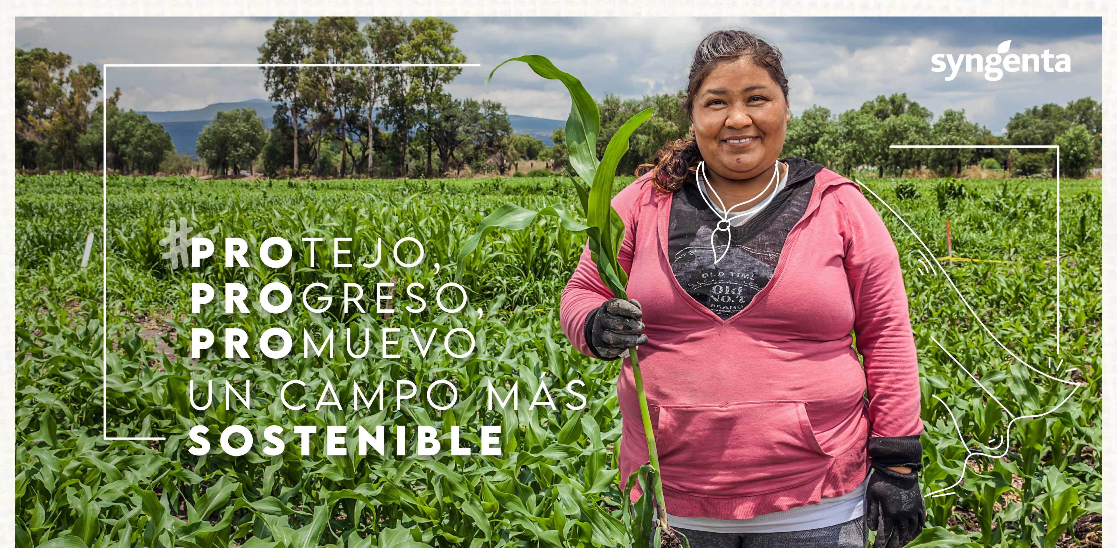 Syngenta 