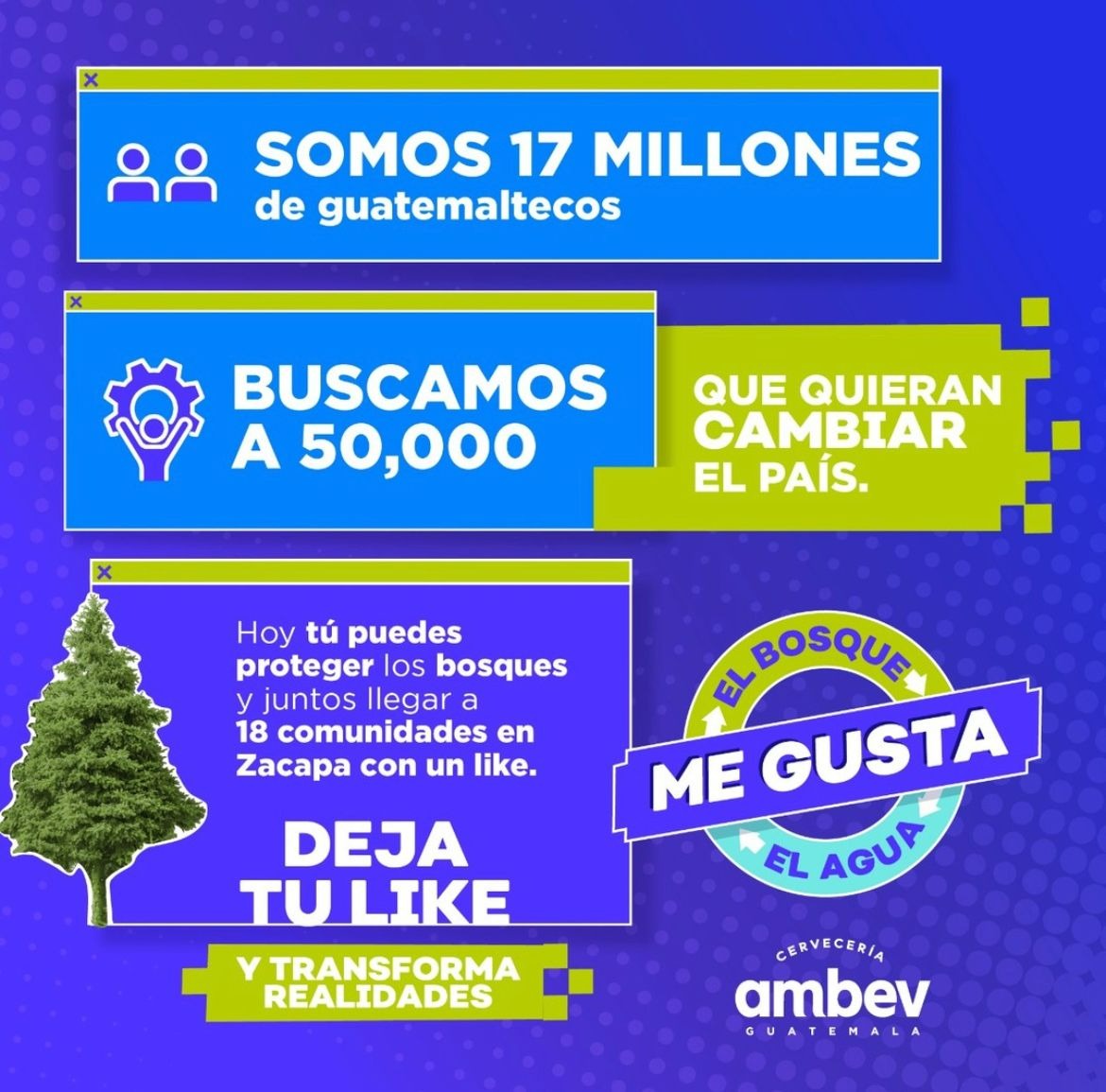 AMBEV PARA PROTEGER EL BOSQUE Y EL AGUA