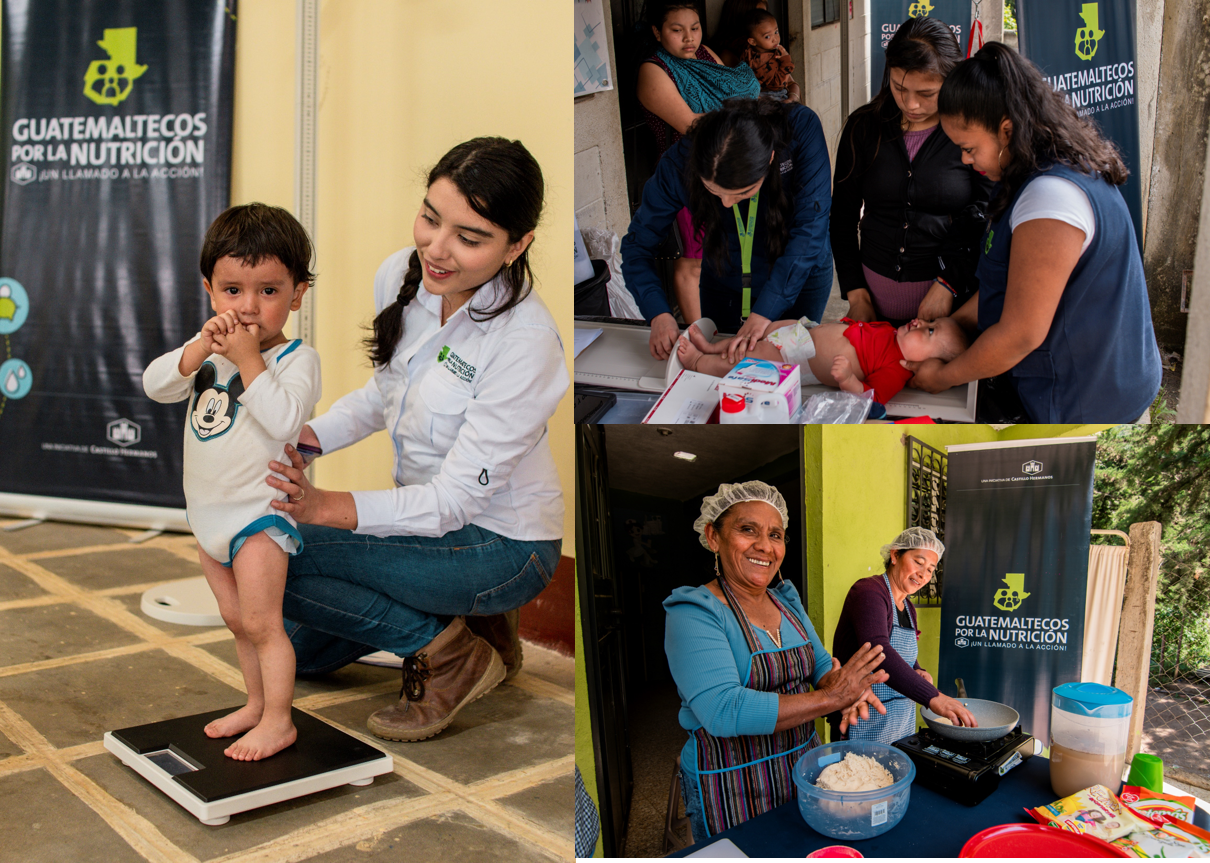 CAMPAMENTO DE NUTRIMÓVILES collage