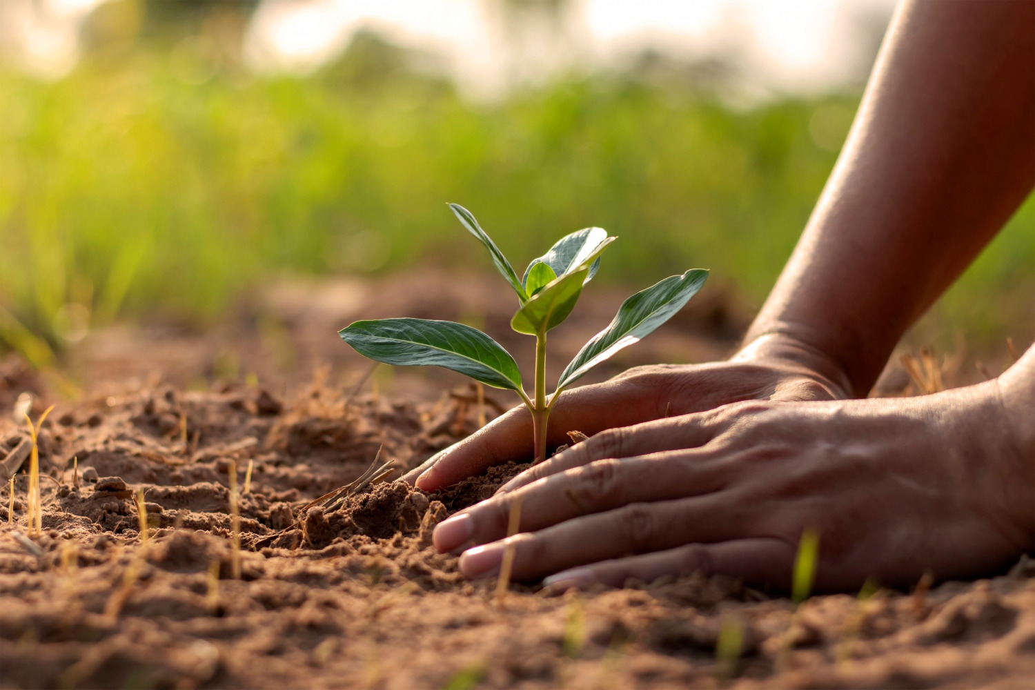 EN EL DÍA MUNDIAL DE LA TIERRA, NESTLÉ REAFIRMA SU COMPROMISO CON EL PLANETA