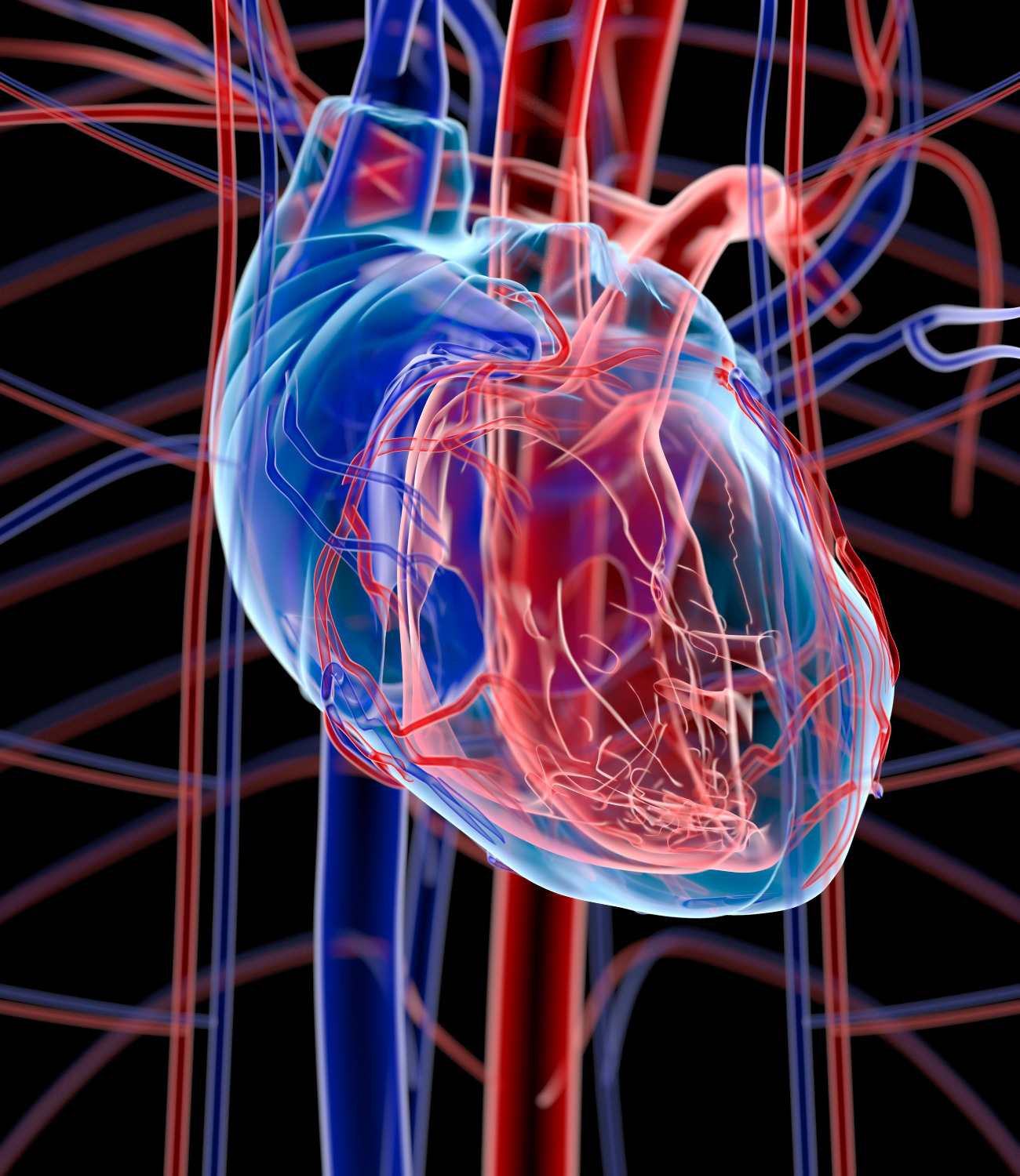 Que el “corre corre” de la vida diaria no ponga en riesgo la salud de su corazón