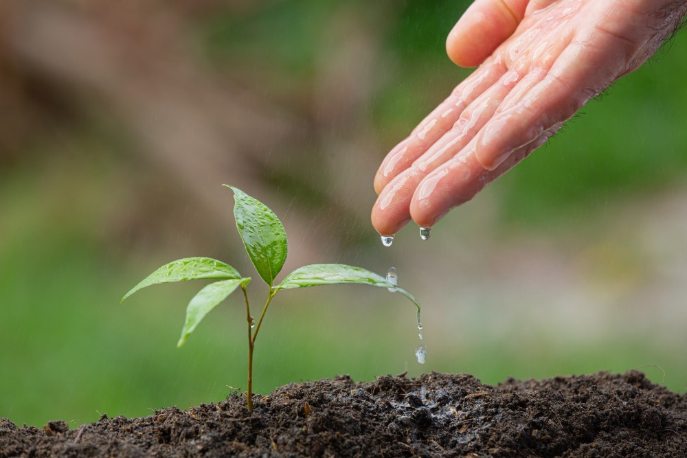 Acciones para cuidar el medio ambiente