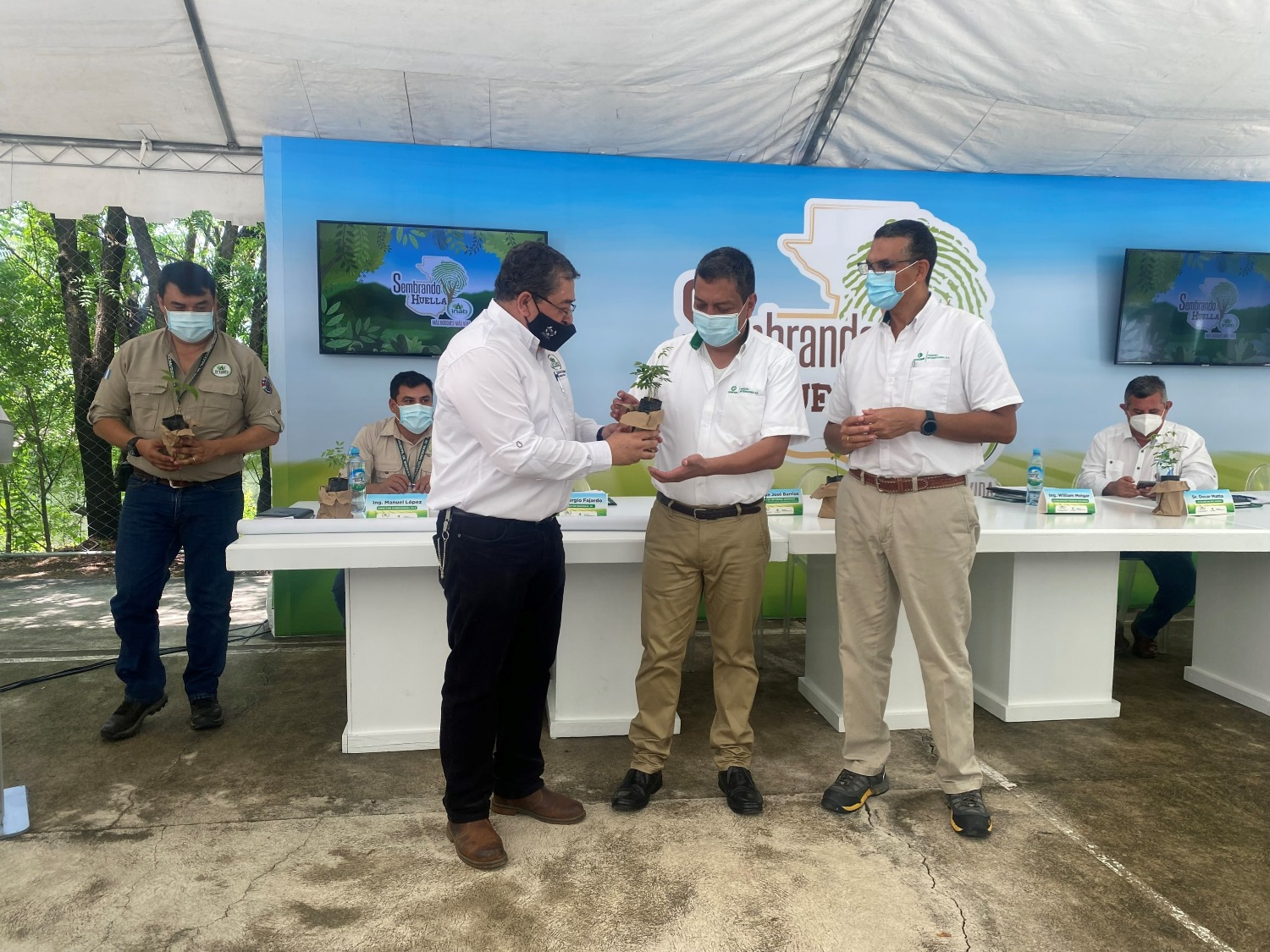 INAB PLANTA 8.7 MILLONES DE ARBOLES CADA AÑO