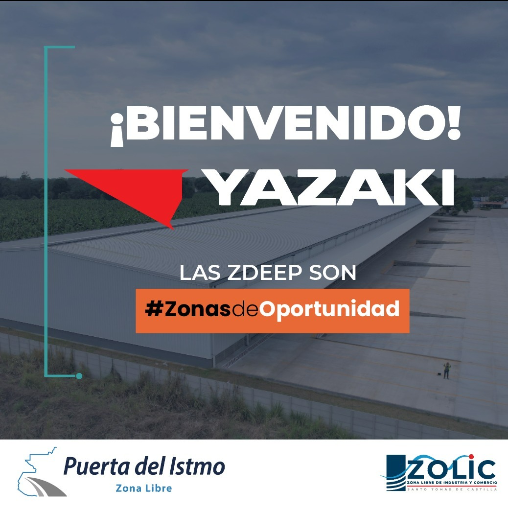 Imagen del Artículo