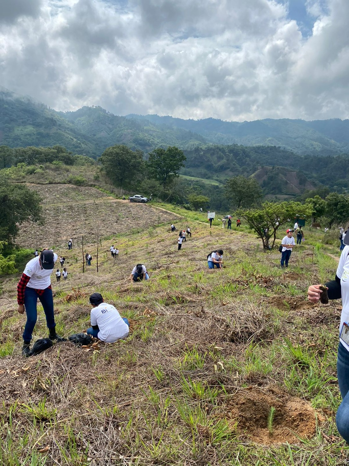 Banco Industrial participan en Plantatón 2022 de Funcagua