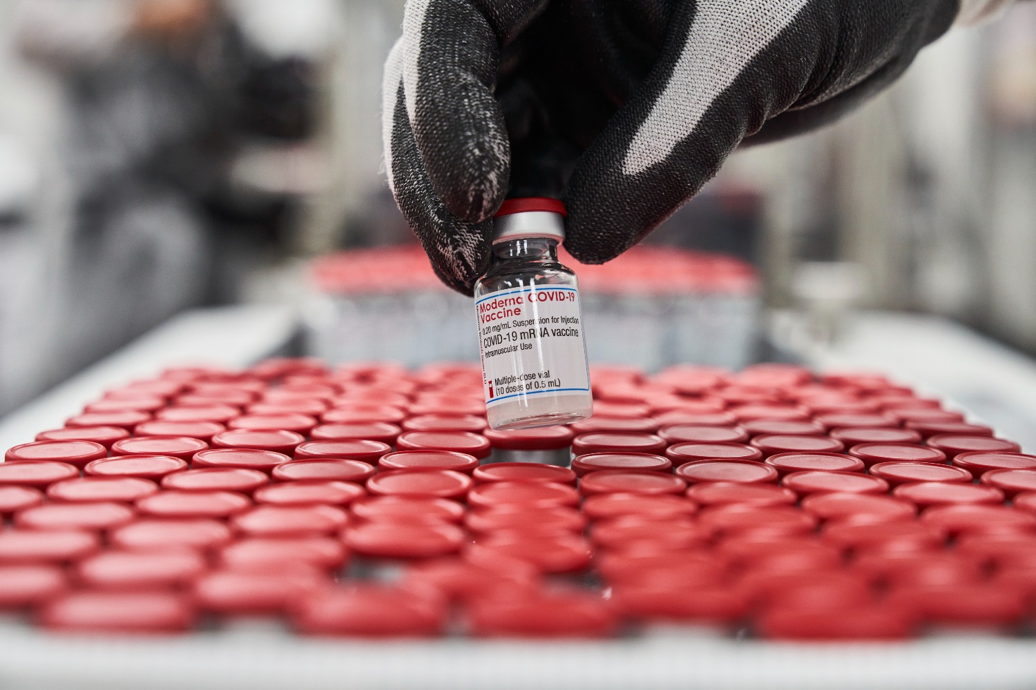 Moderna recibe autorización de FDA para uso de  vacuna de refuerzo bivalente para COVID-19