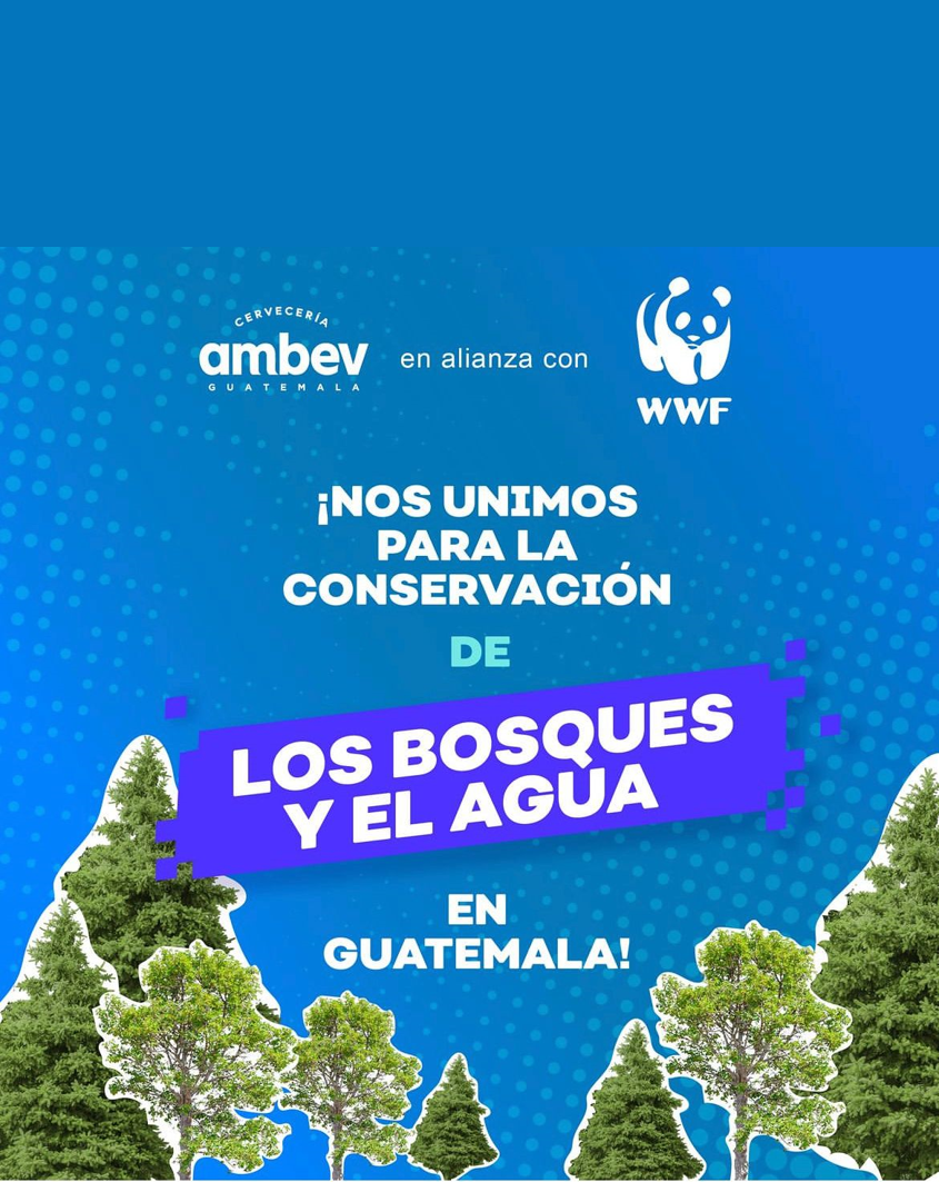 CERVECERÍA AMBEV GUATEMALA LANZA INICIATIVA AMBIENTAL PARA PROTEGER EL BOSQUE Y EL AGUA.  