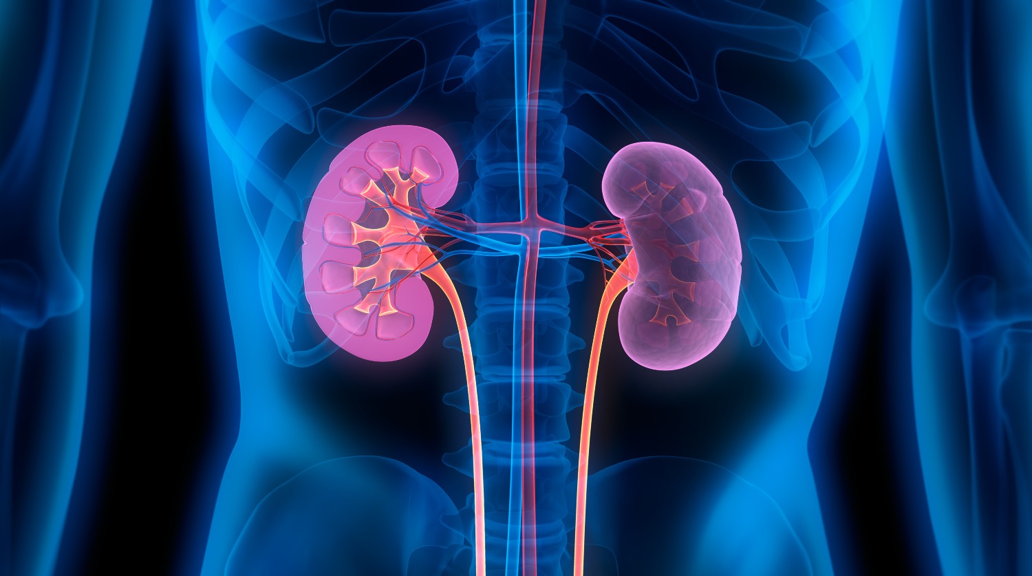Nuevo medicamento retrasa avance del daño renal en personas con diabetes tipo 2