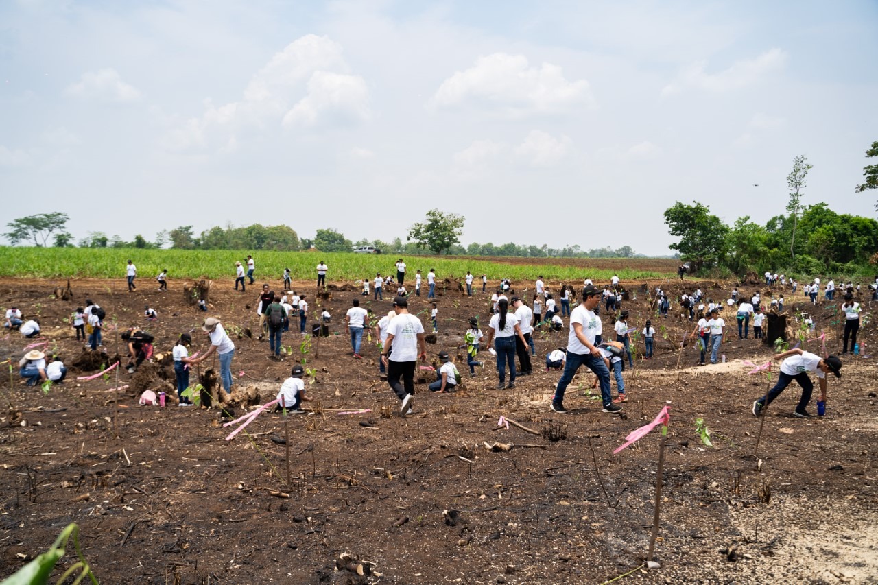Jornada de Reforestación de Licores de Guatemala 