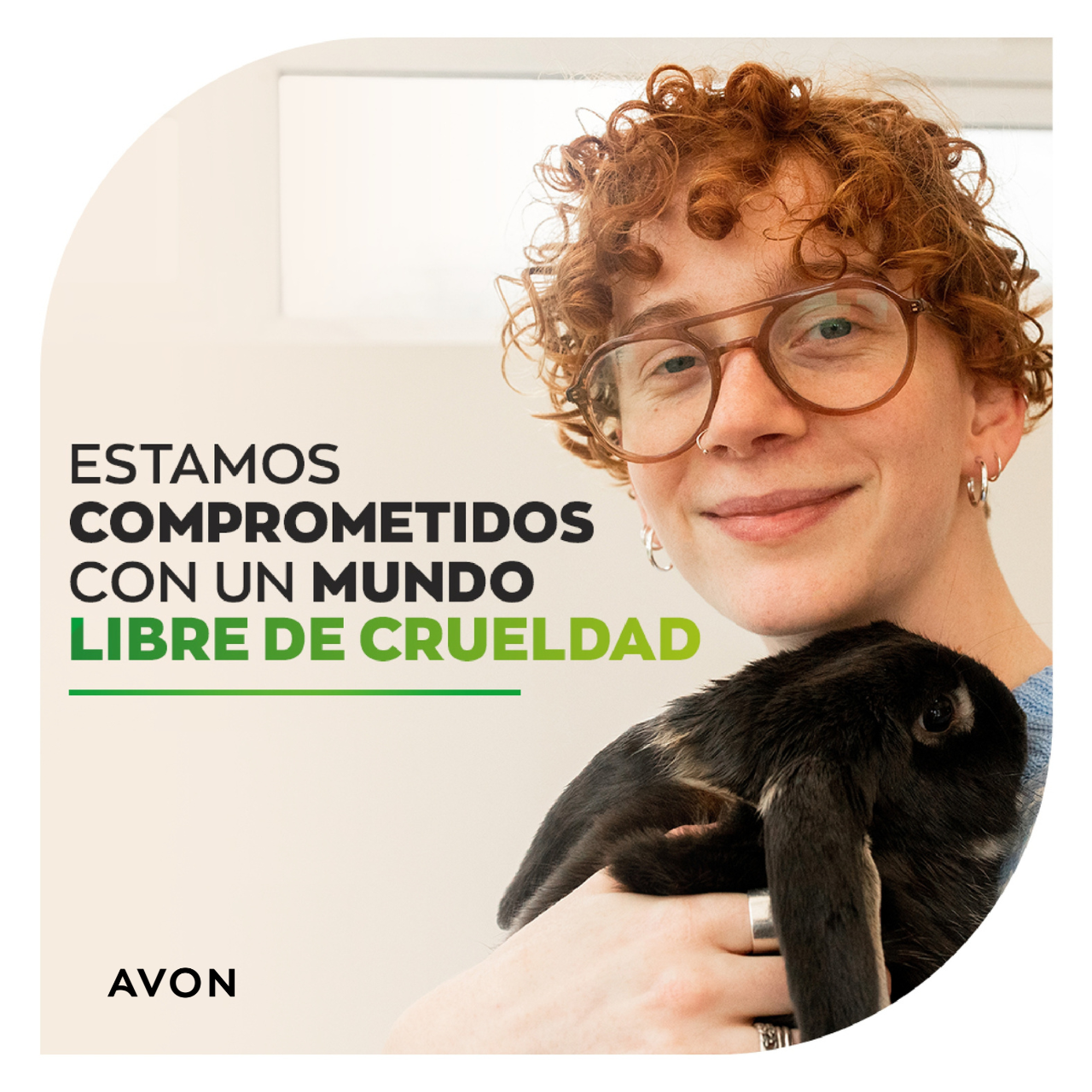 Imagen del Artículo