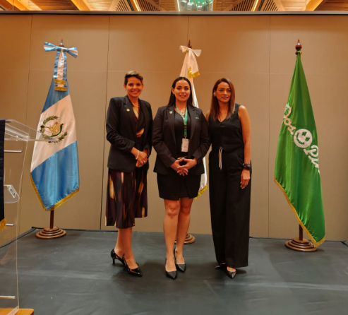 Imagen del Artículo