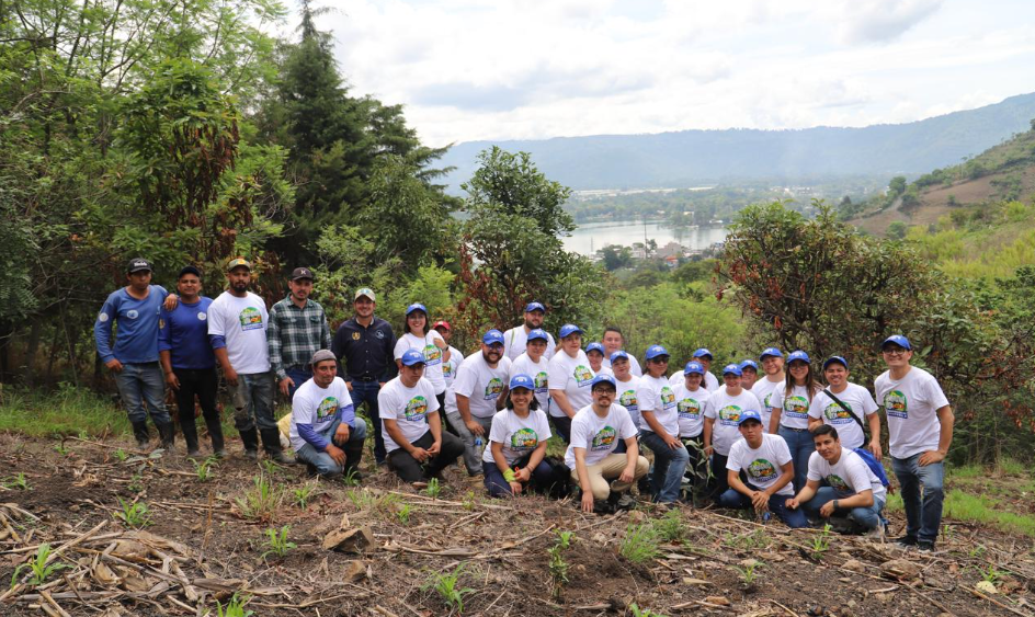 Imagen del Artículo