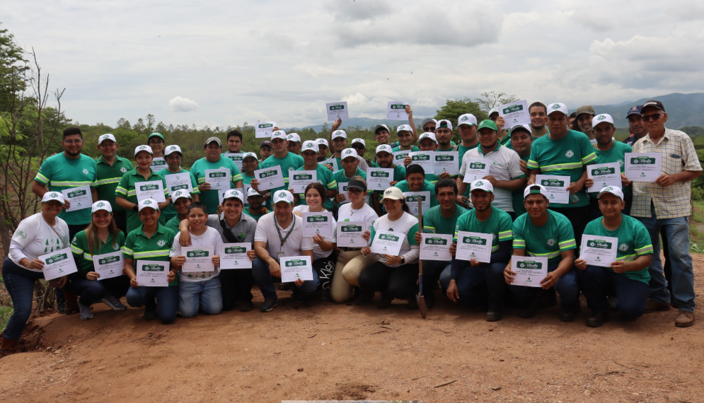 GrandBay Painsa Centroamérica impulsa REFORESTACION