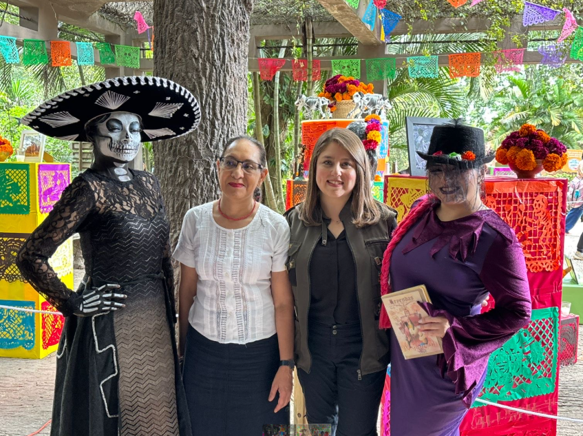 Imagen del Artículo