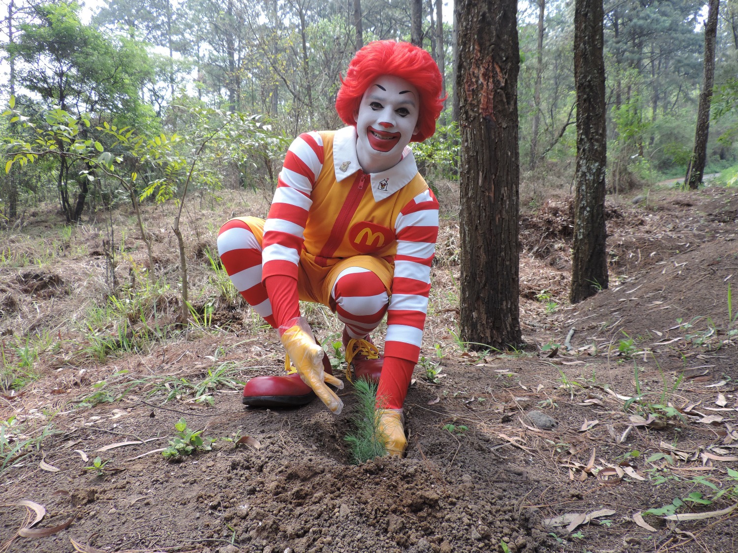 McDonald’s entrega 5,000 árboles para invitar a las familias a formar parte del #YoReforestoChallenge2021 