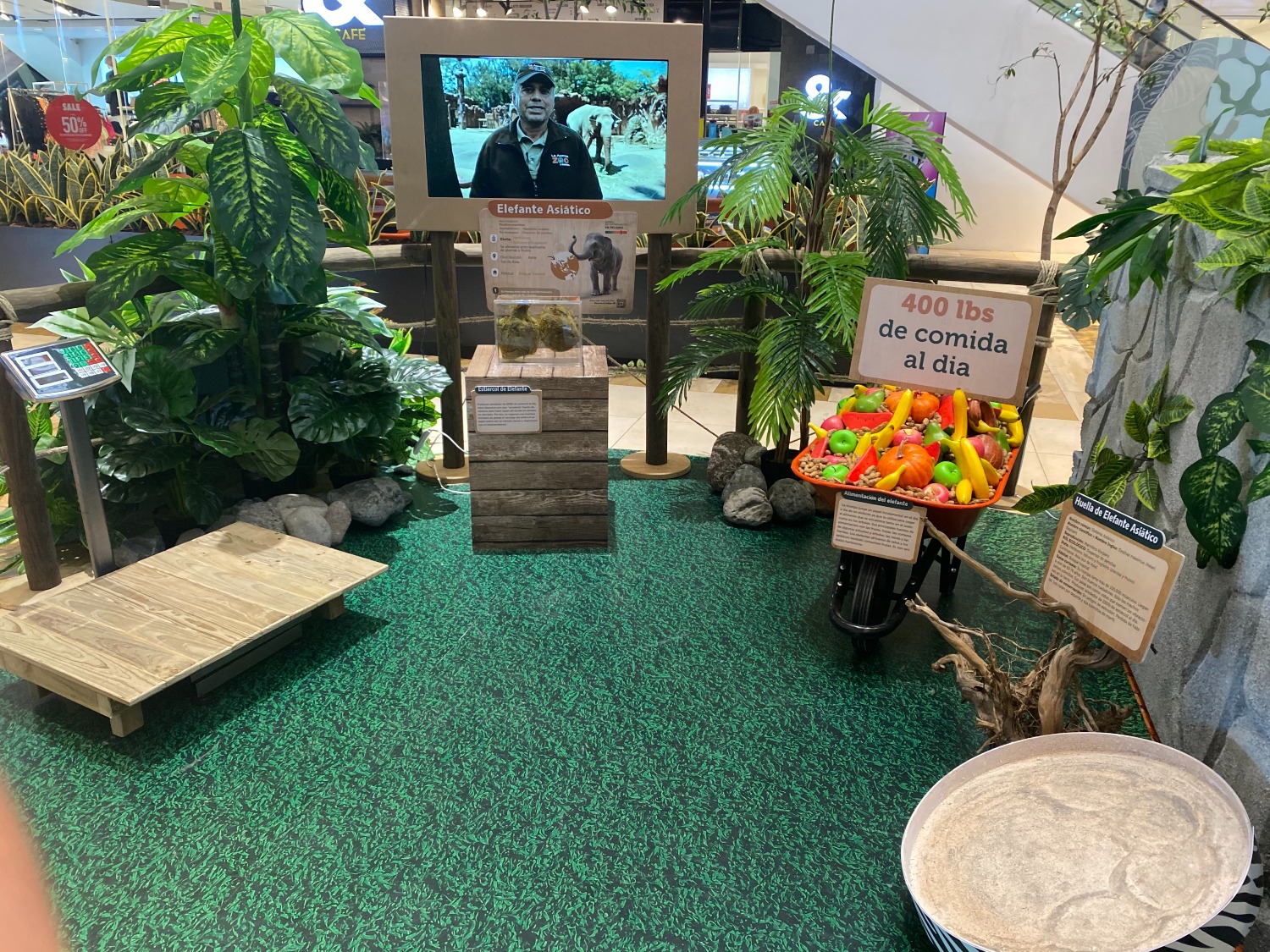 Imagen del Artículo