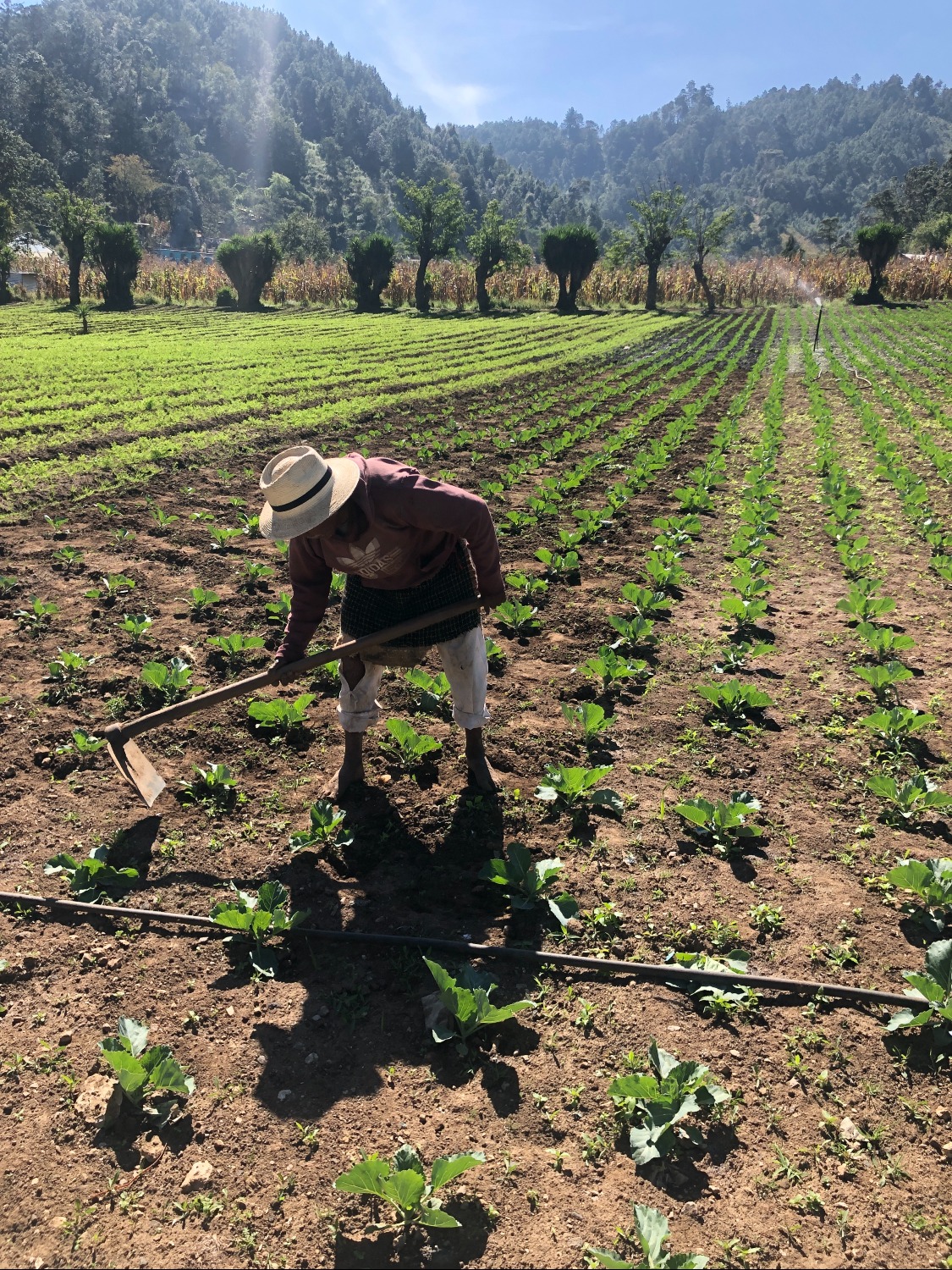 FORAGRO TRABAJA JUNTO A AGREQUIMA 