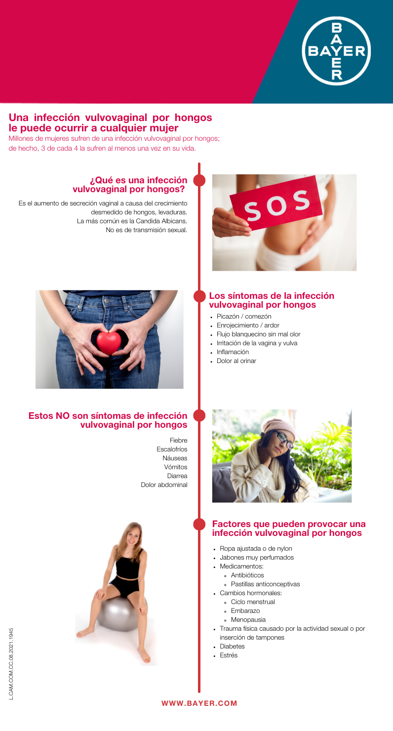 Imagen del Artículo