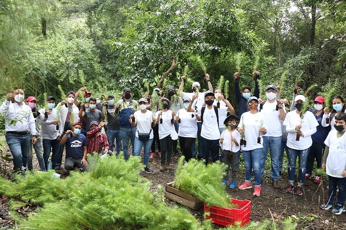 Plantatón Cívica 2021