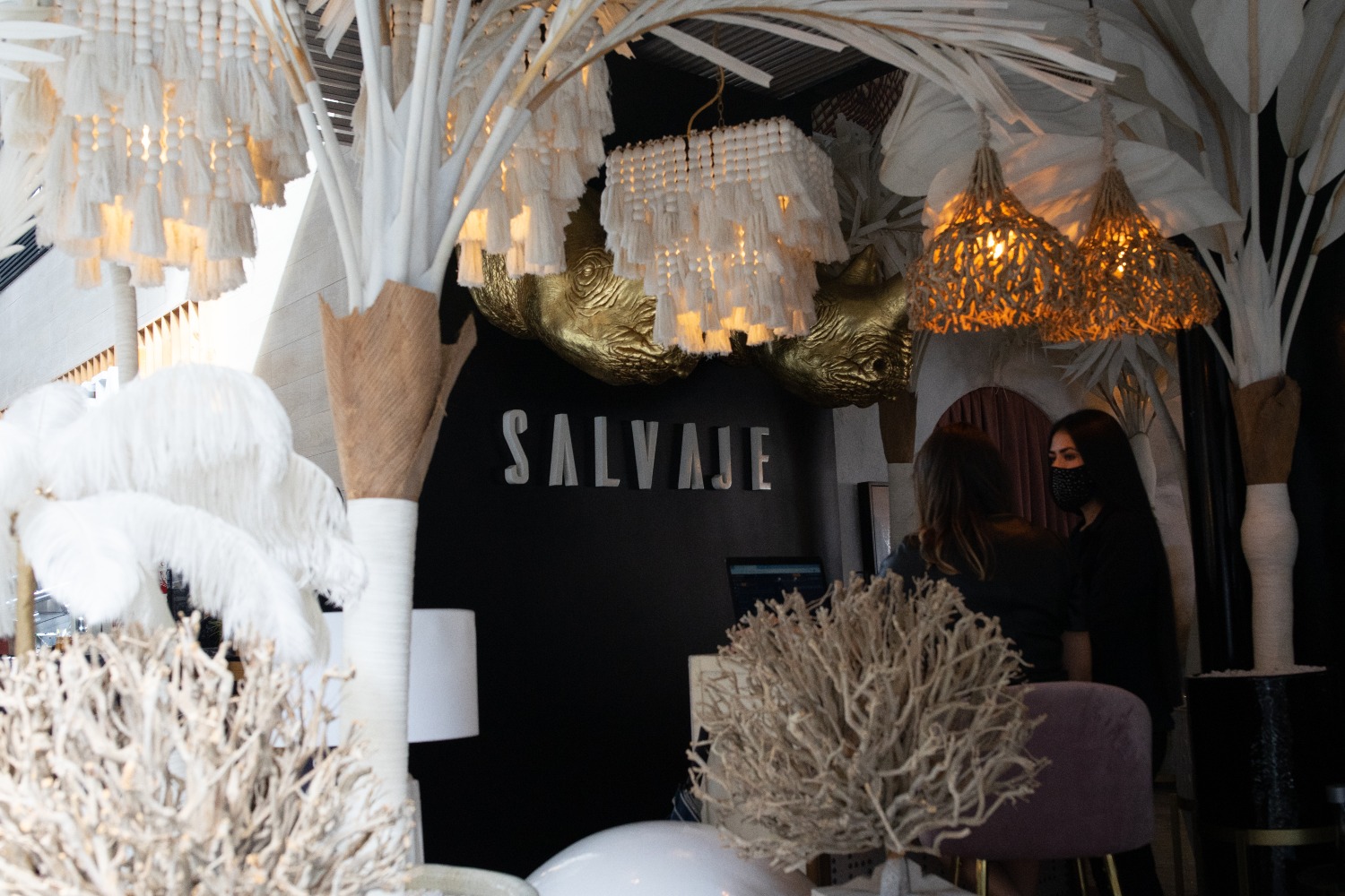 Imagen del Artículo